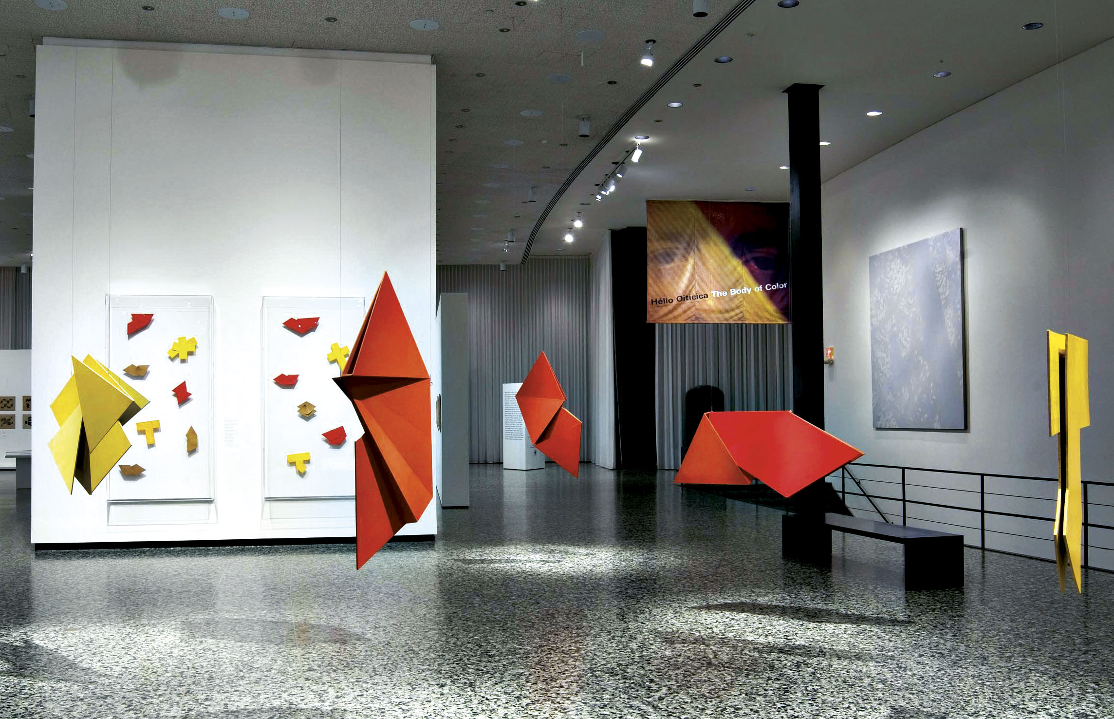 Hélio Oiticica | ArtNexus